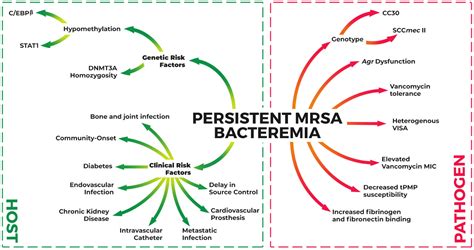Persistent Methicillin-Resistant Staphylococcus aureus Bacteremia: Host ...
