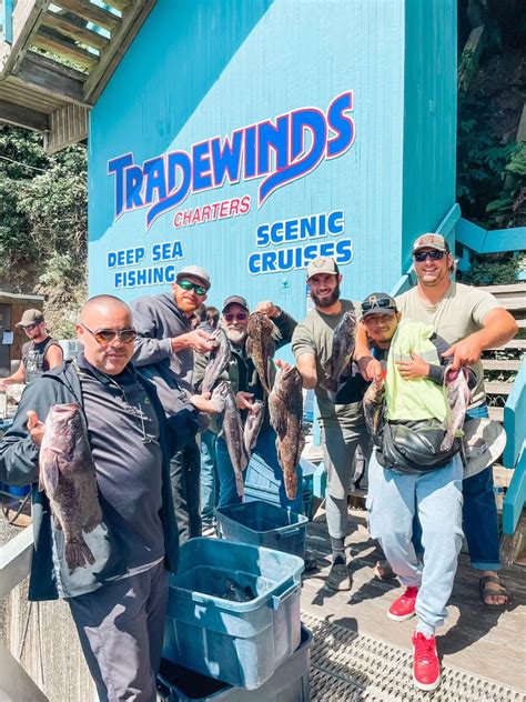 Tradewinds Charters 的图像结果