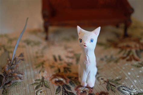 しろねこ | Hitomi Yoshimura works