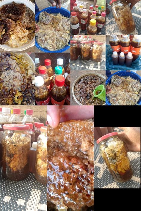 La Nature 的图像结果