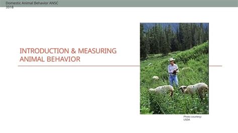 Image result for Assessing Behavior