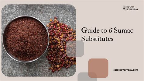 6 Sumac Substitute Options to Spice Up Dishes