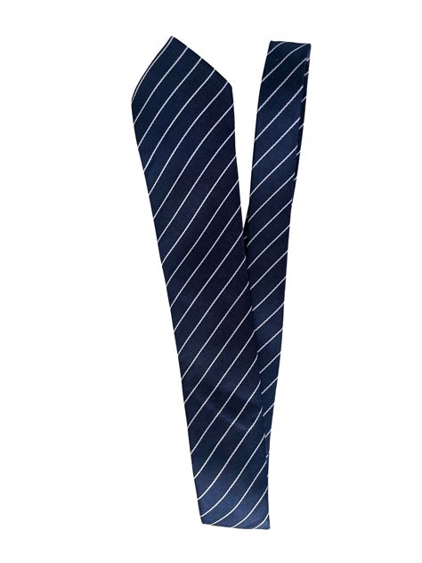 VBPS Boys Tie (1st Std - 10th Std) — Gubbacci Uniform Company