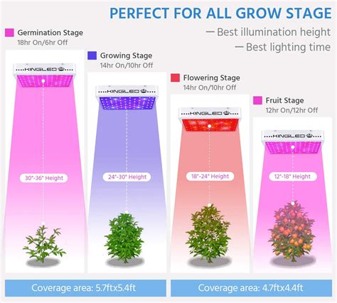 Best LED Grow Light Reviews 2019
