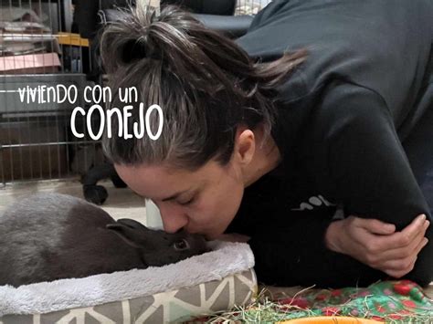 Mi experiencia como casa de acogida | Viviendo con un conejo