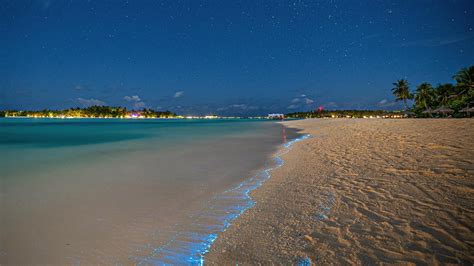Maldives Sea of Stars: How to experience the bioluminescent phenomenon ...
