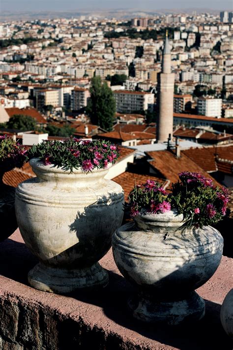 Eye View 的图像结果