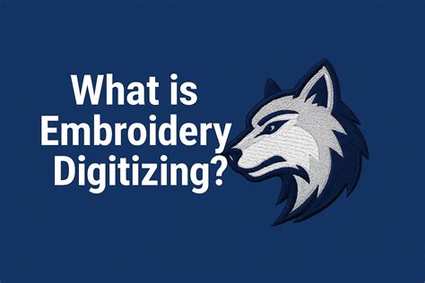 Digitizing Program 的图像结果