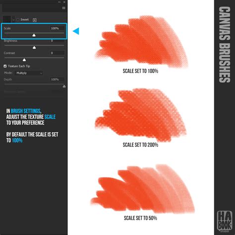 HABOOK Photoshop Canvas Brushes