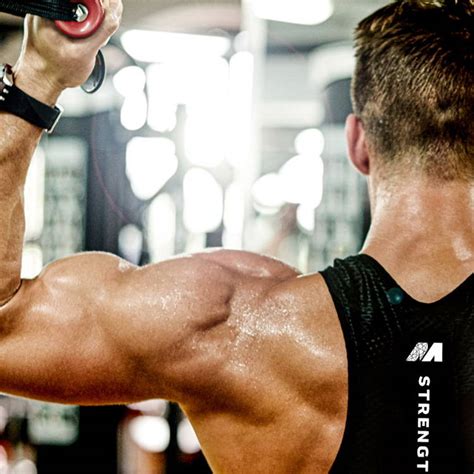 Image result for MuscleTech Cell-Tech