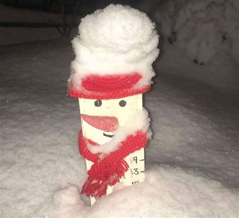 Snowman Measuring Stick 的图像结果