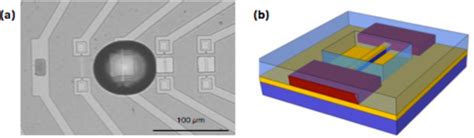 Image result for Lab On-Chip Protein Crystallisation