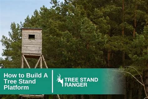 Image result for Tree Stand Platform Build