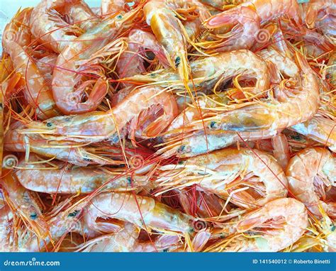 Red Argentine Shrimps for Sale Stock Photo - Image of group, pile ...
