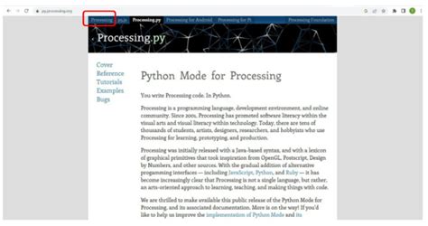 Python Processing 的图像结果