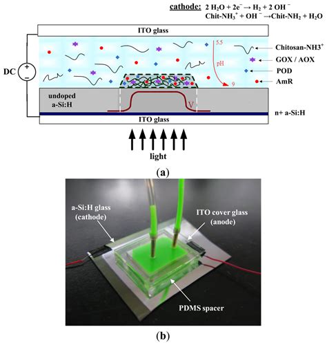 Sensors | Special Issue : Opto-Microfluidics for Bio Applications