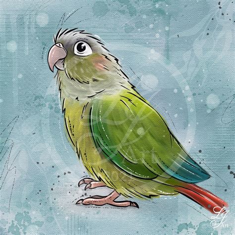 Beautiful conure downloadable print | Parrots art, Bird drawings ...