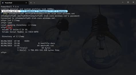 How to SFTP Root-Owned Files 的图像结果