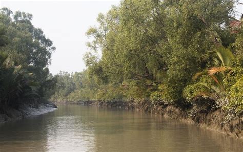 IPCC Special Report: Climate adaptation needs multi-level support