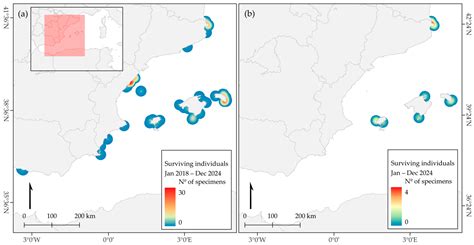Chasing Pinna nobilis Survivors: Current Status in Spanish Open Coastal ...