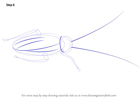 Image result for How to Draw a Cockroach Step by Step