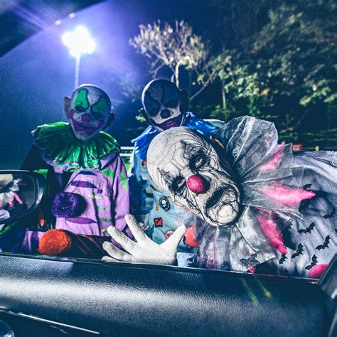 ZIP WORLD FFEAR FFOREST (Updated 2026) All You Need to Know BEFORE You ...