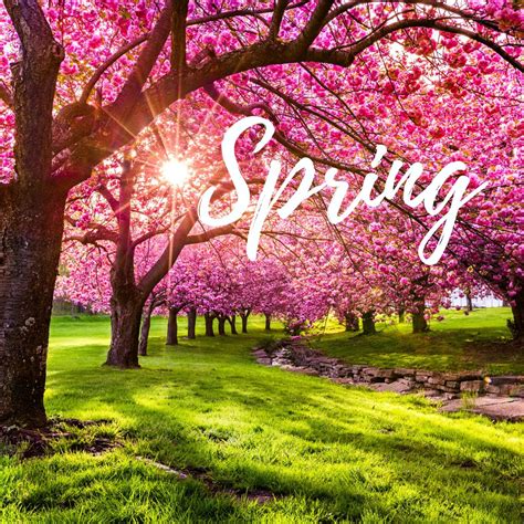 Image result for Classical Music for Spring