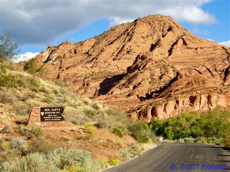 Red Cliffs Desert Reserve » Red Cliffs Recreation Area Trails