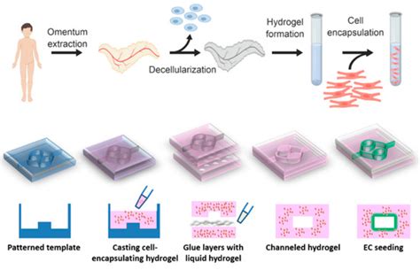 Channeled ECM-Based Nanofibrous Hydrogel for Engineering Vascularized ...