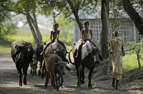बिहार में गहरा रहा जलसंकट, क्या इस बार भी पड़ेगा सूखा