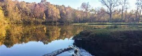Ritter Springs Park, missouri, United States Of America - Top ...