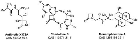 β-Lactams from the Ocean
