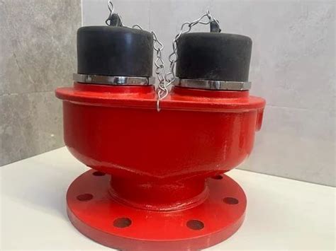 Image result for Fire Brigade Inlet Connection