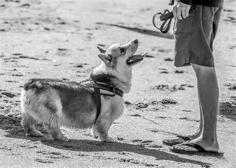 Jackhammer+Sex+Intercourse+Position Photos, Download The BEST Free ...