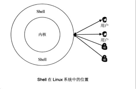 shell编程入门（一天掌握shell编程）-CSDN博客