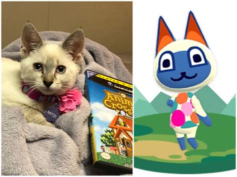 Mitzi Animal Crossing