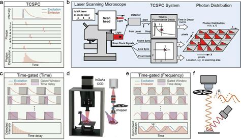 TCSPC Spectroscopy 的图像结果