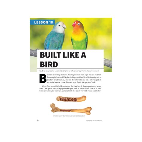 Mystery Science Lessons Today 的图像结果