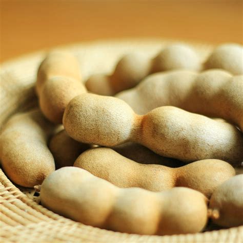 Was ist Safran? – Das luxuriöseste Gewürz der Welt enthüllt