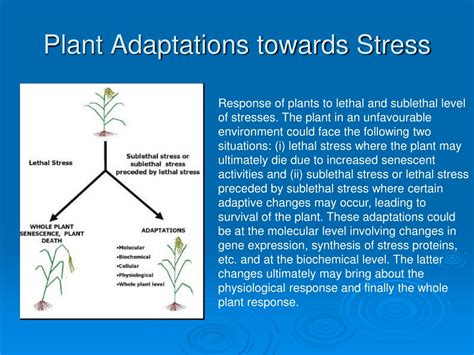 Stress Biology 的图像结果