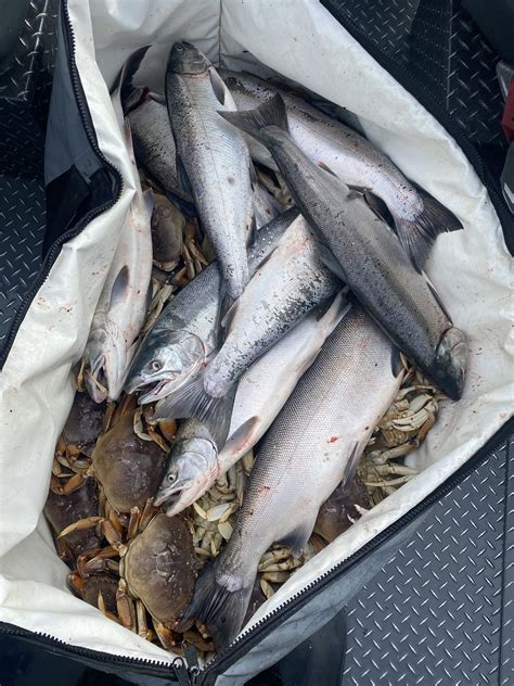 Crabbing | Top Guides NW