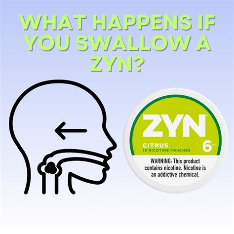 What happens if you swallow a zyn? | Eliquidstop