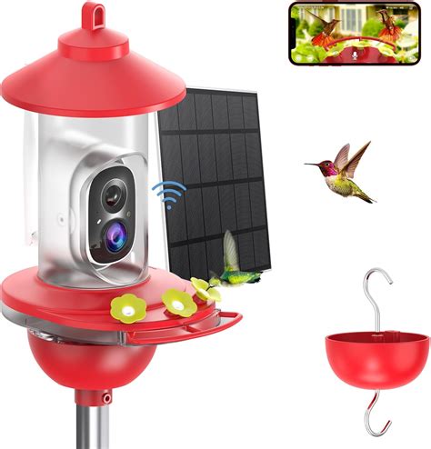 Amazon.com: SOLIOM Humbirdy BF06 Hummingbird Feeder with Camera Solar ...