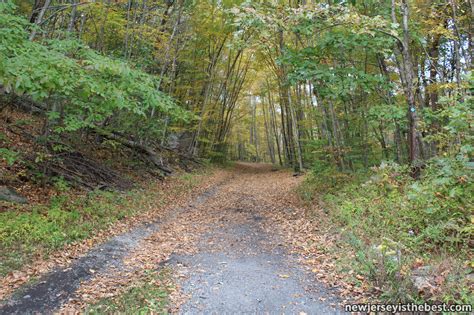 Walking trail at Allamuchy Mountain State Park – New Jersey is the Best