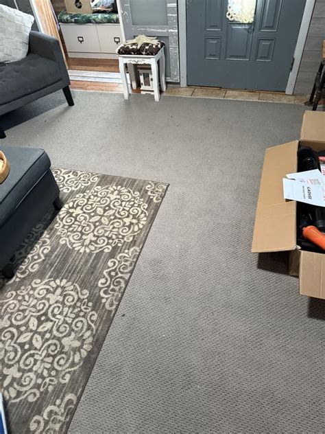 STAINMASTER Regenerating Biscuit Brown 34.1-oz sq yard Nylon Level Loop ...