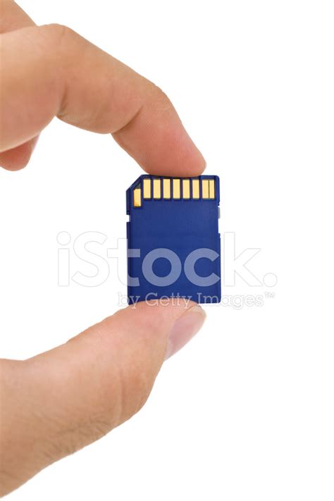Image result for Secure Digital Memory Card
