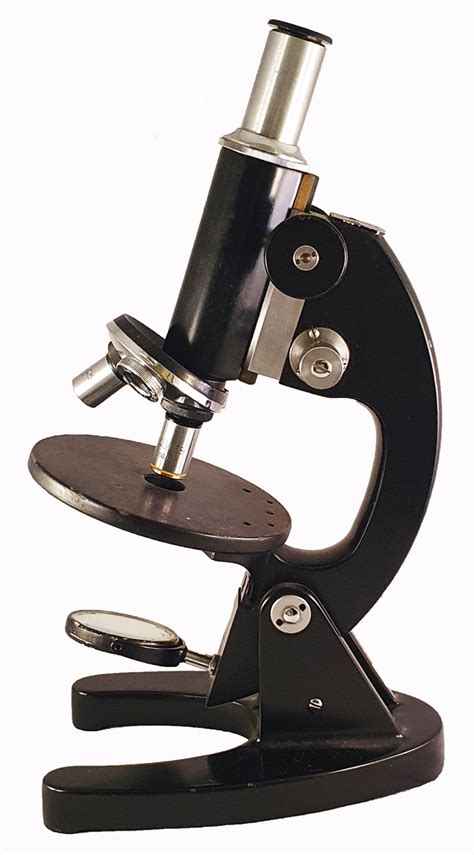 Short Microscope 的图像结果