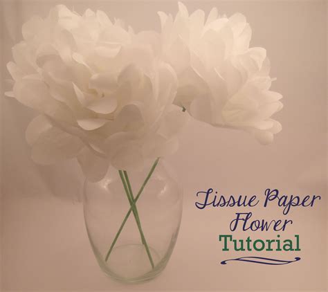 Image result for Tissue Paper Tutorial