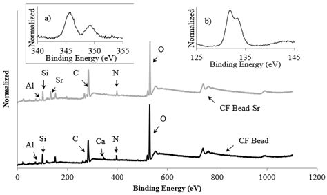 Characterization and Adsorption Behavior of Strontium from Aqueous ...