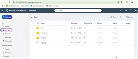 Image result for +Graph API One Drive